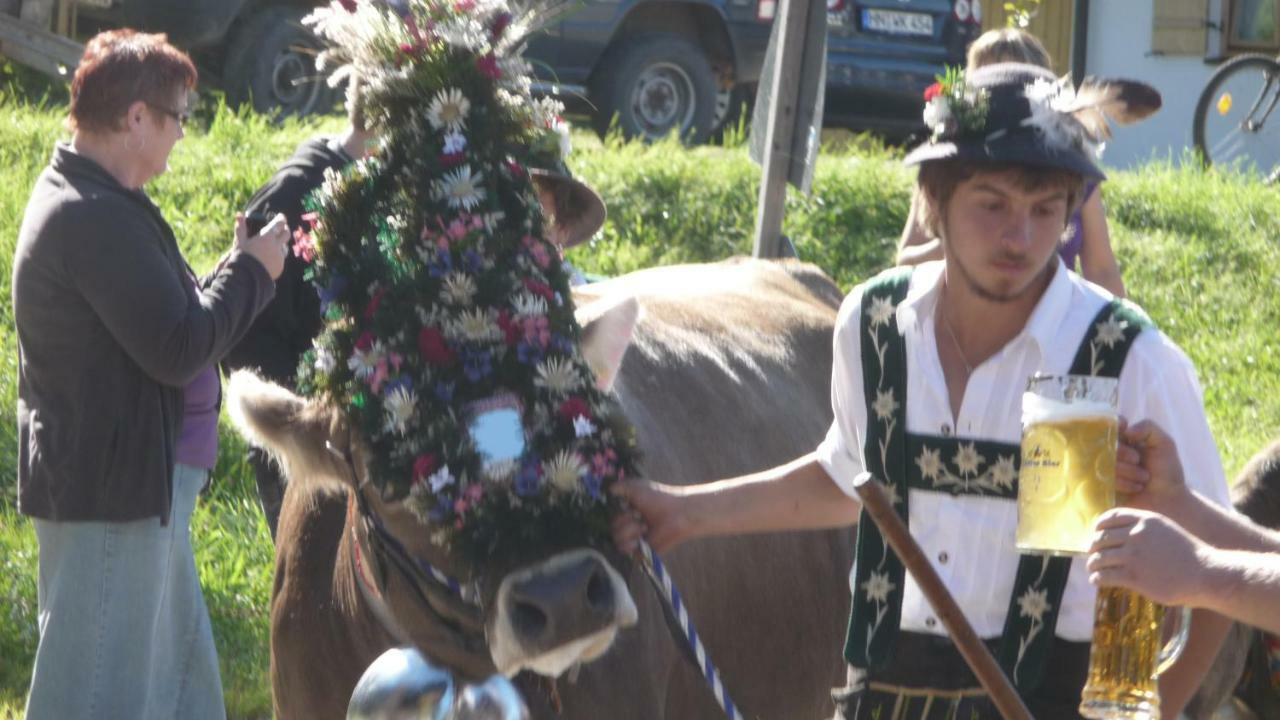Lejlighed Gastehaus Luise *